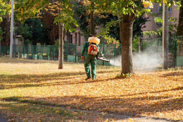 Best Mosquito Control Services  in Georgetown, OH