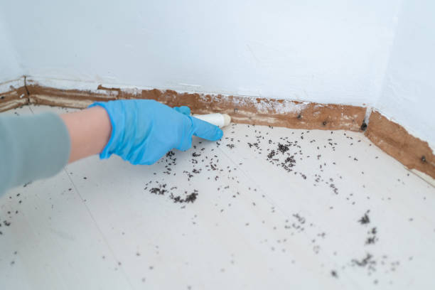 Best Residential Pest Control  in Georgetown, OH